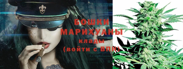 гидра Заволжск