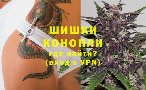 гидра Заволжск