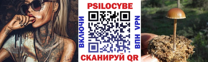 Купить закладки  Пущино  Псилоцибиновые грибы Psilocybe 